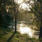 sawgrass lake park