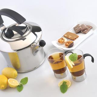 Auriga Whistling Stainless Steel Tea Kettle