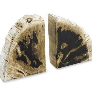 Petrified Wood Bookends