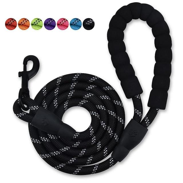 Olodeer Nylon Dog Leash with Padded Handle, 5 ft Length Dog Leash for Daily Walking and Training,Fit for Medium Large Dogs Classic Black