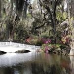 Magnolia Plantation and Gardens