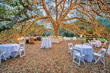 The Wedding Website of Amy Hsieh and Leo Taarea