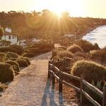 Goop Guide to Santa Barbara