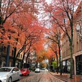 Portland