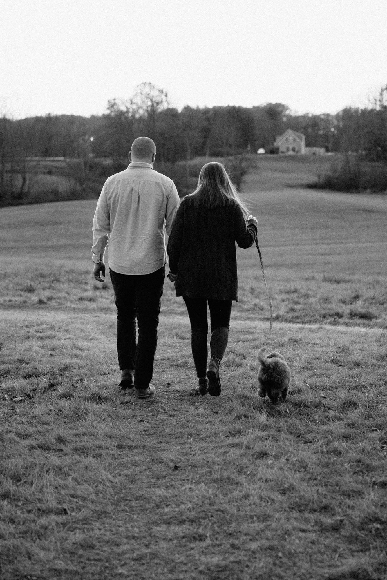 When Ellie was just a little puppy, fall of 2020.