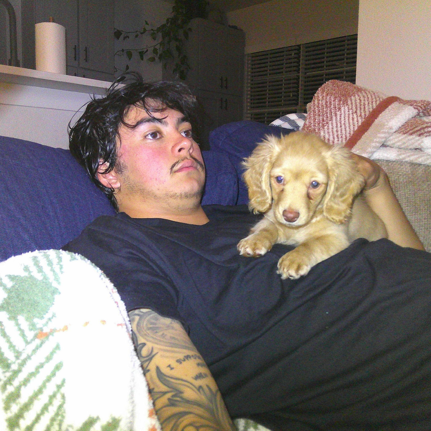 Our first dog, Lulu (miniature dachshund)