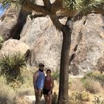 Joshua Tree National Park
