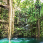 Xenotes Oasis Maya