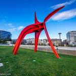 Olympic Sculpture Park