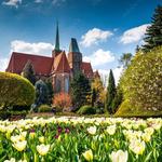 Botanical Garden of the University of Wrocław