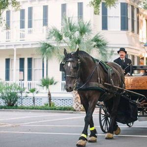 Historic Carriage tour of Savannah