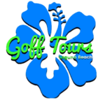 Surfing Lessons with GOFF Tours