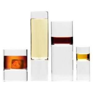 Revolution Glassware Rocks+Martini Glass