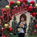 Mozart's Coffee Roasters