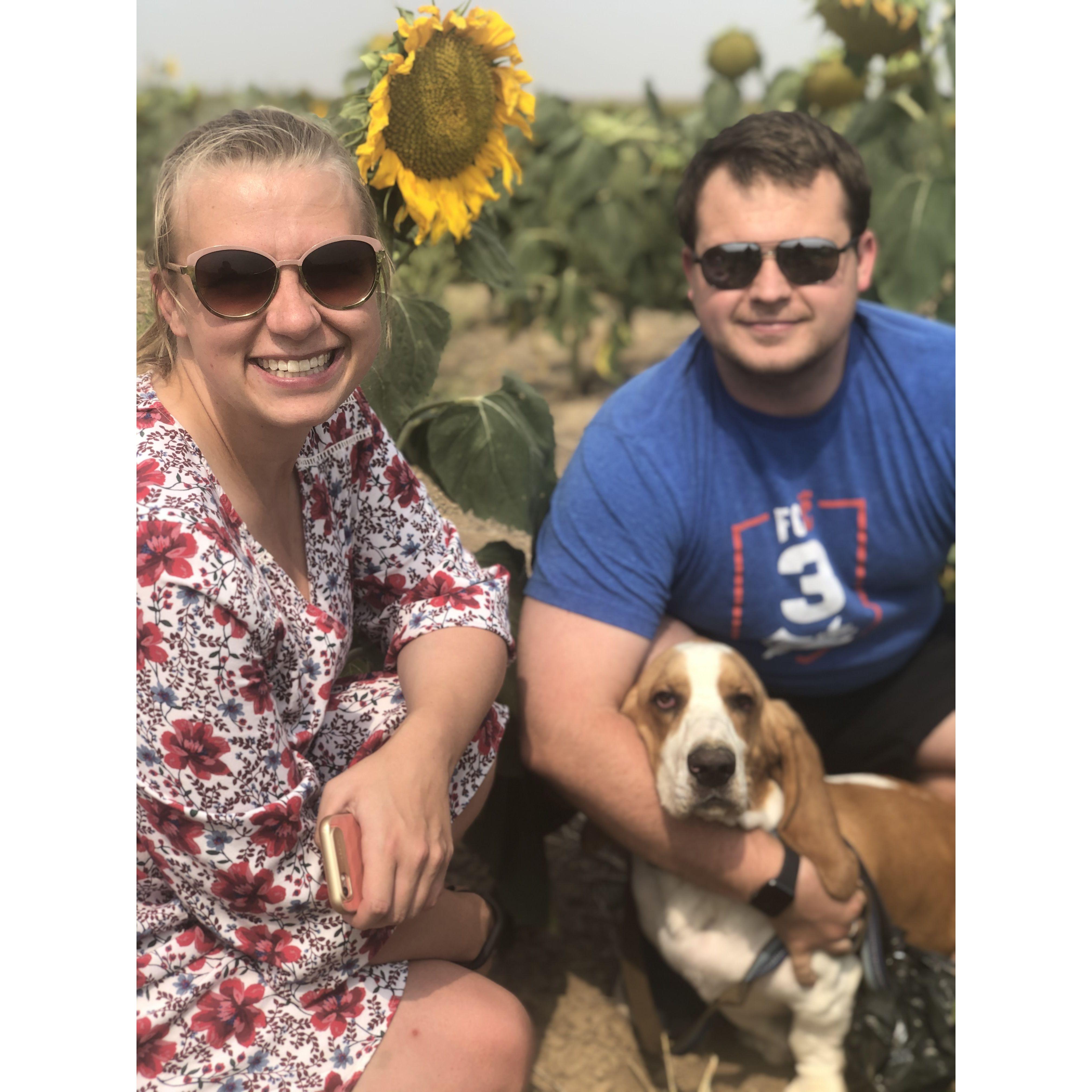 Colorado 2020