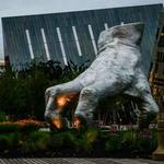moCa Cleveland