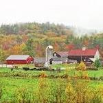 Beech Hill Farm & Ice Cream Barn