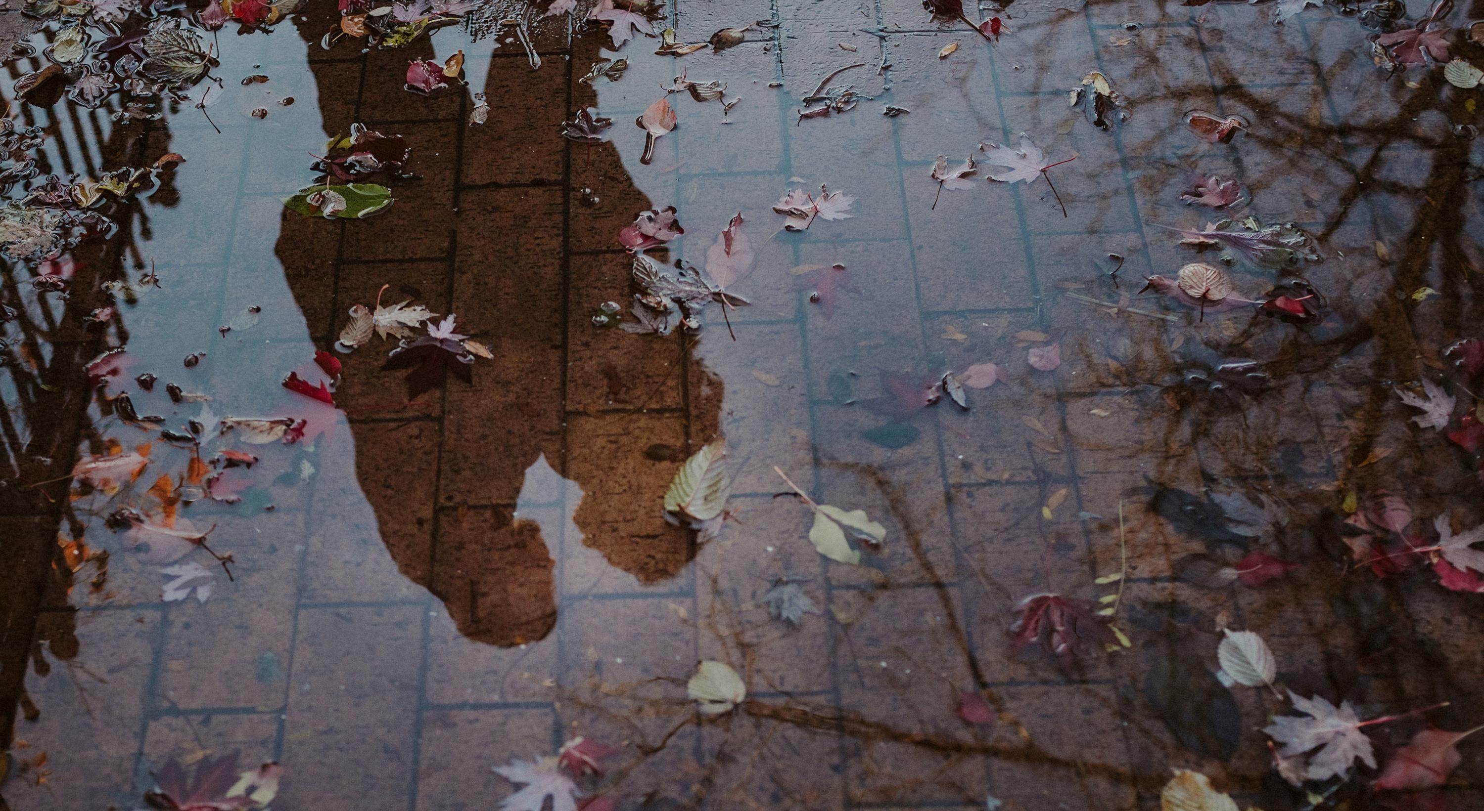 Footer image