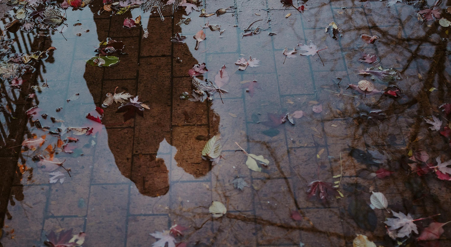 Footer image