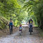 Tweetsie Trail
