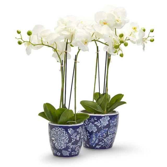 Two's Company Floral Fantasy Blue and White Porcelain Planters, Set of 2