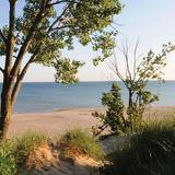 Indiana Dunes State Park