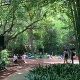 Bosque de Chapultepec