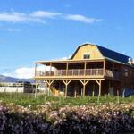 Blueberry Hills Farm
