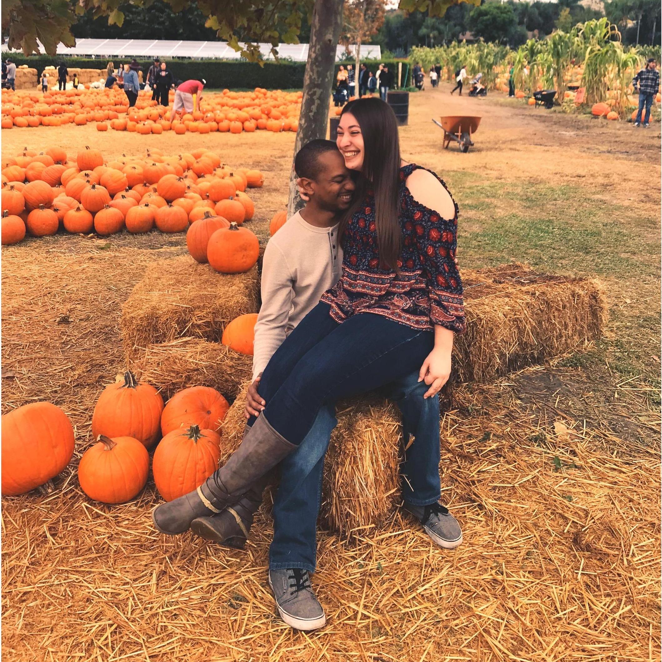 PUMPKIN PATCH