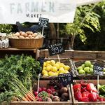 Downtown Salmon Arm Farmers Market