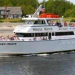 First Chance Whale Watch