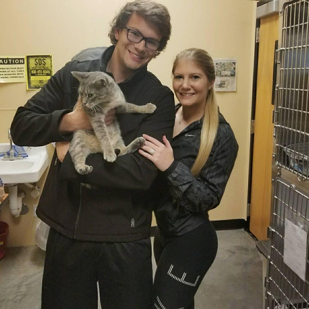 We adopted a cat?! Welcome to our family, Misty Mae!