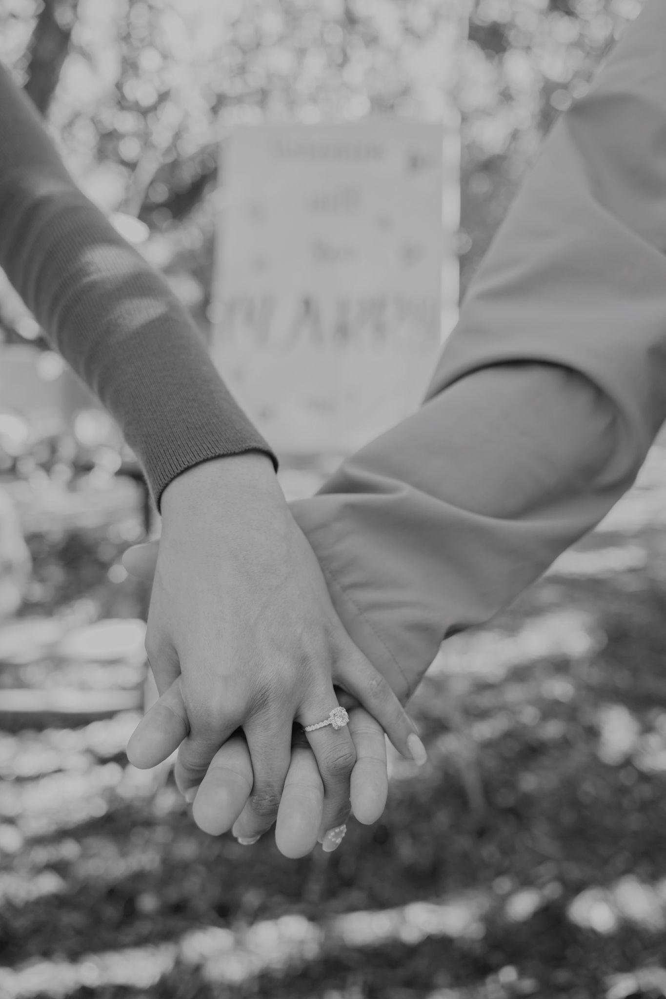 The Wedding Website of Nick Brizuela and Veronica Lima