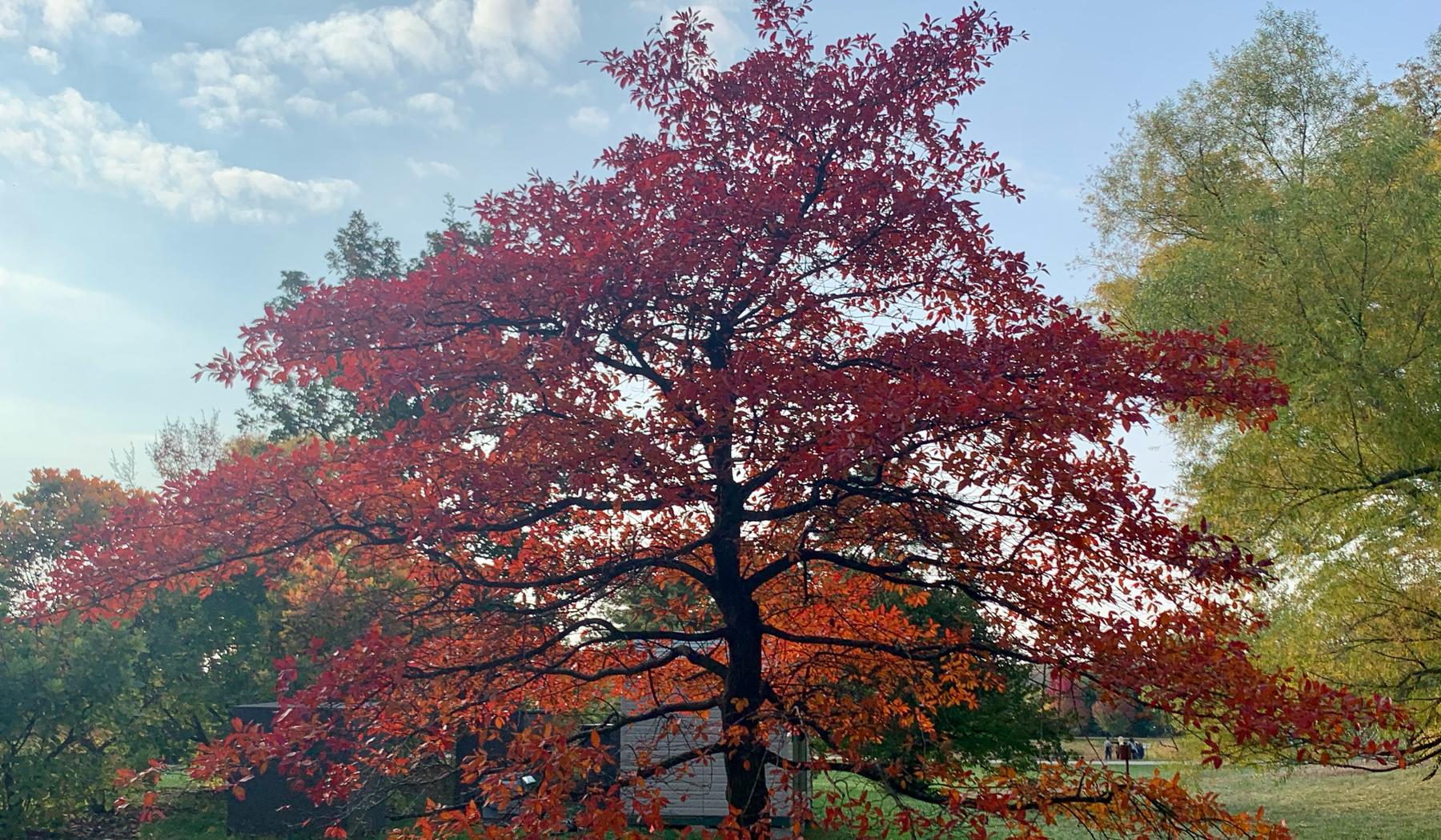 The Wedding Website of Meghann Ashman and Cameron Gould