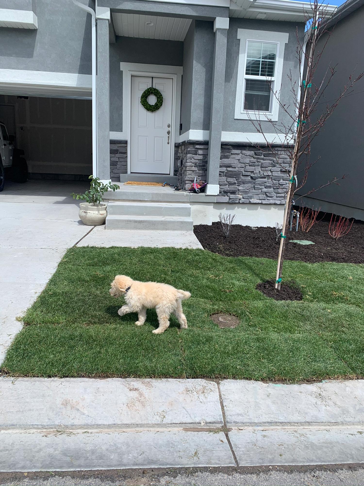 & bought our first home! 🤍