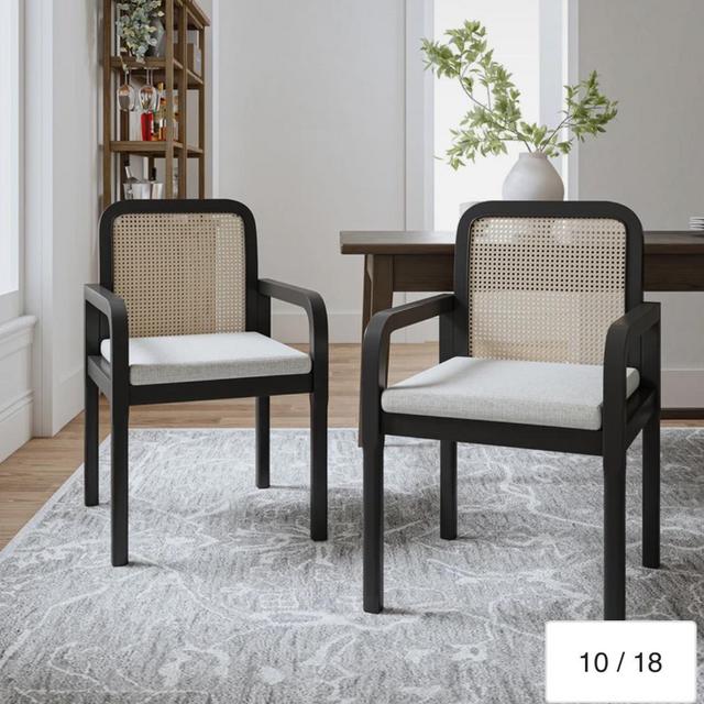 Antoine Modern Ratten Dining Chair with Removable Cushion Set of 2 by