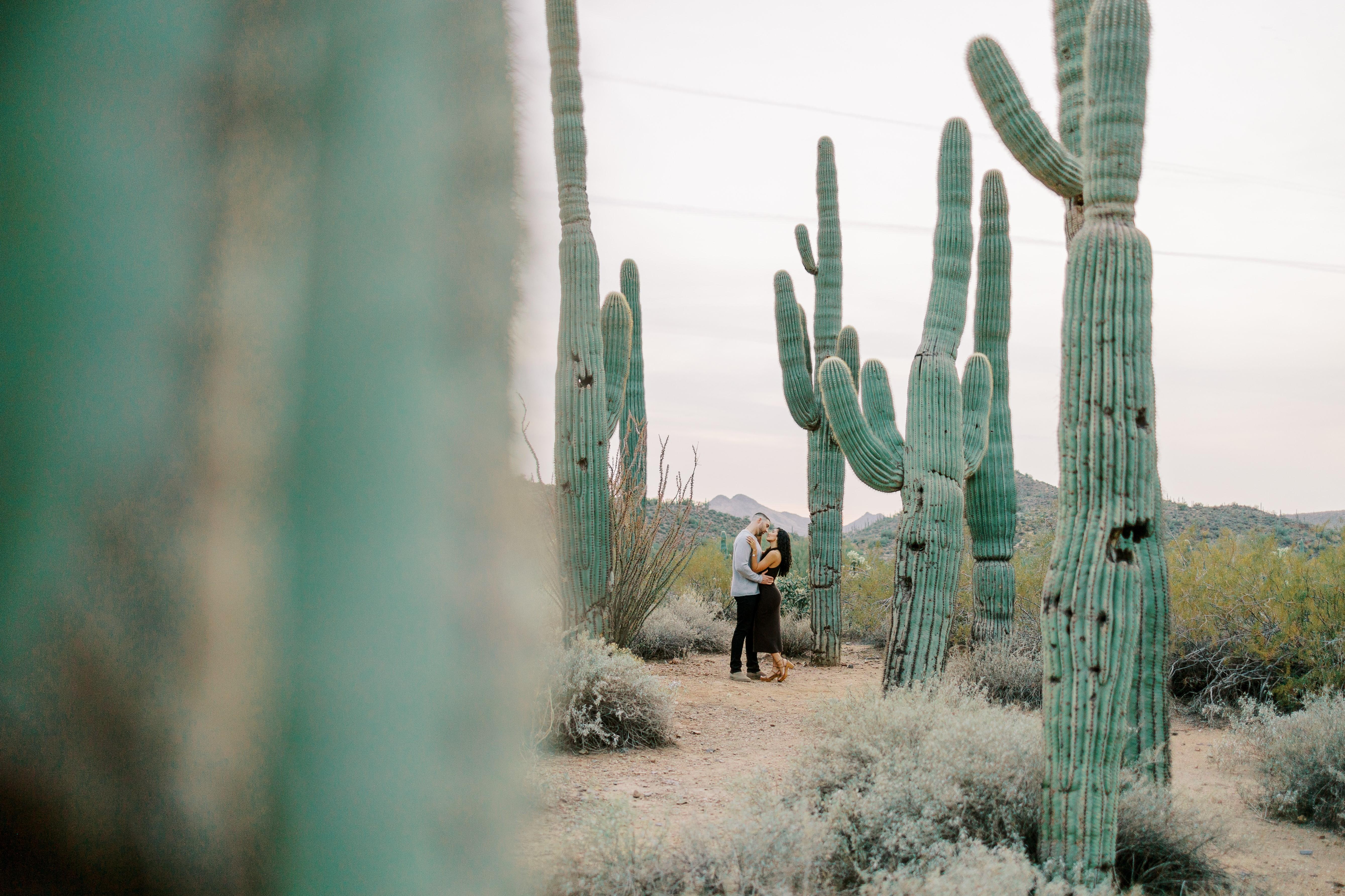 The Wedding Website of Kaysia Hamilton and Ryan Bayster