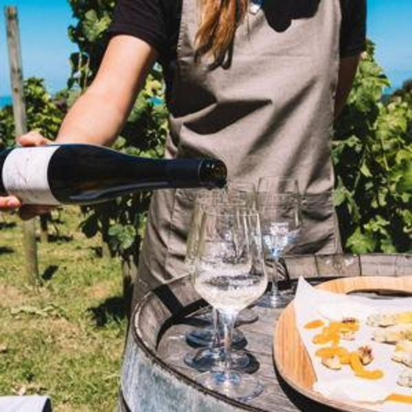 Food & Wine Tour on Our Honeymoon