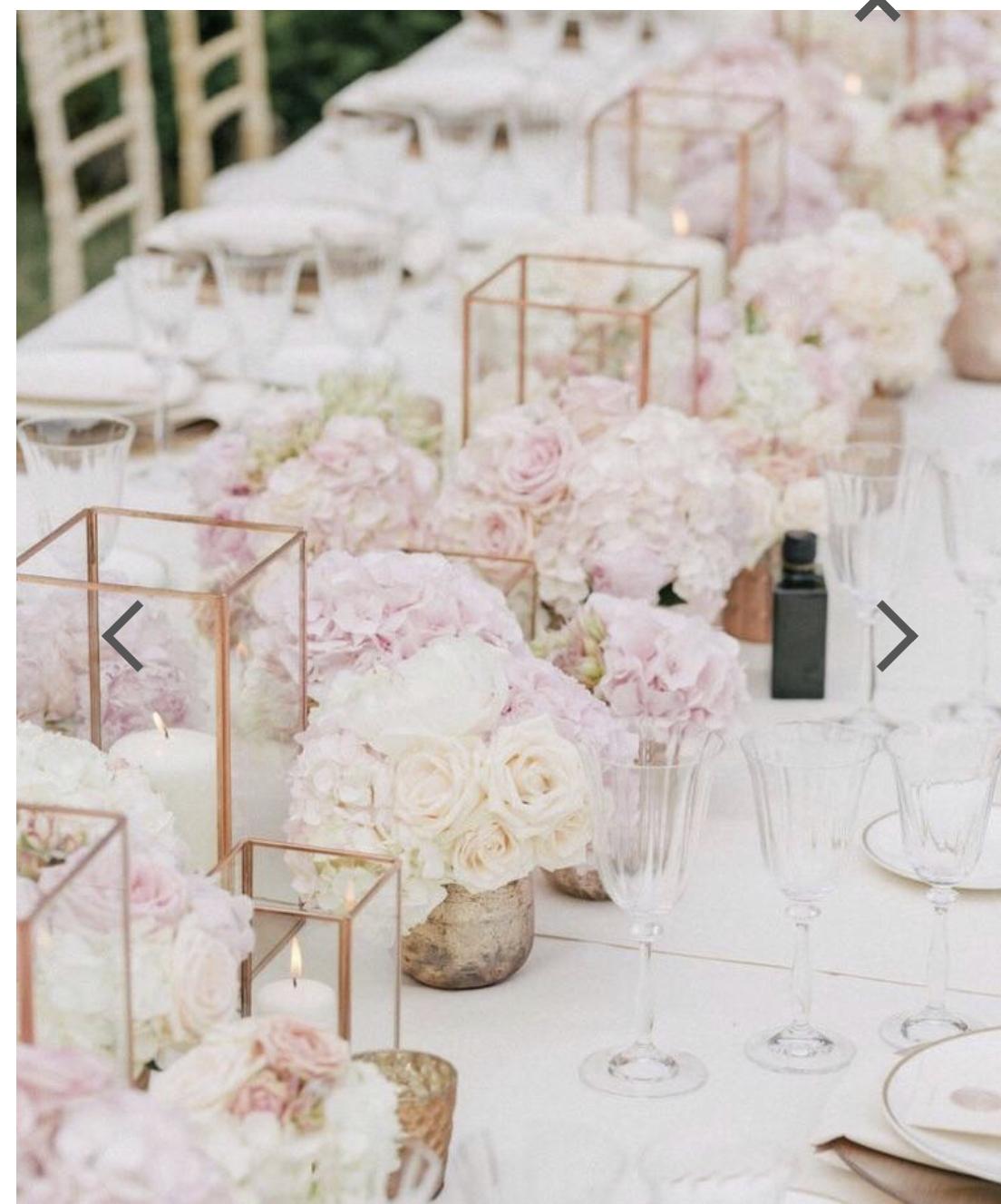 The Wedding Website of Andrea Moseley and Shawn Draper