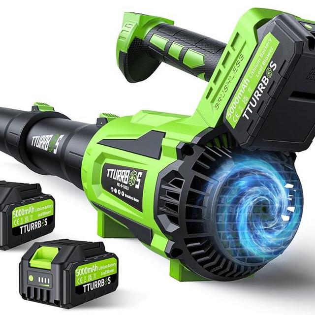 Leaf Blower Cordless - 650CFM Brushless Motor Leaf Blower with 6-Speed Control & Ergonomic Handle - Includes 2 x 5.0Ah Batteries & Fast Charger - Blowers for Lawn Care, Yard, Patio, Leaves, Snow, Dust