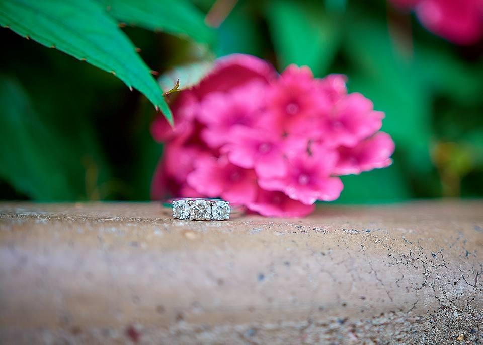 The Wedding Website of Allison Gavert and David Rowe