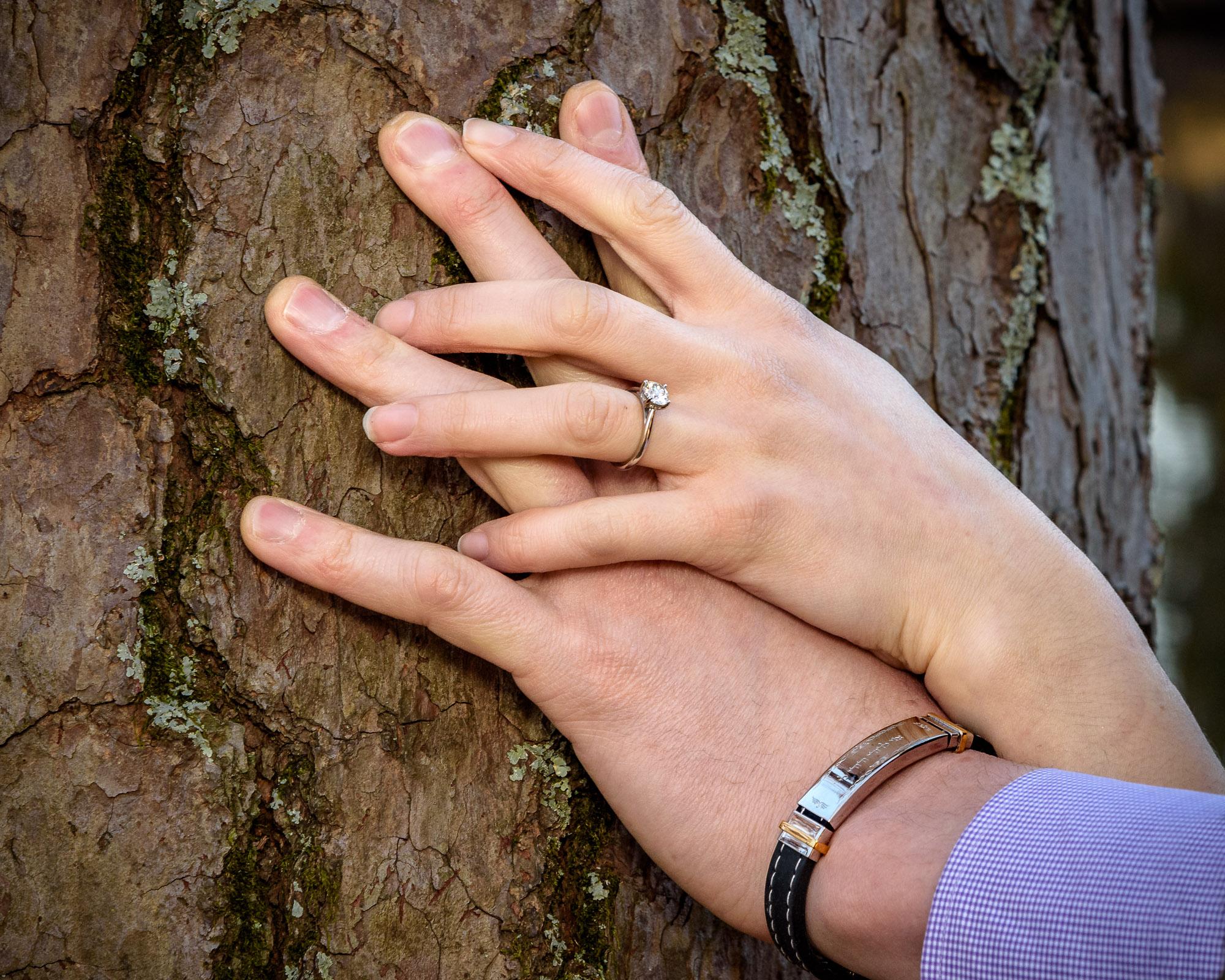 The Wedding Website of Leilah Rosen and Joshua Ehrlich