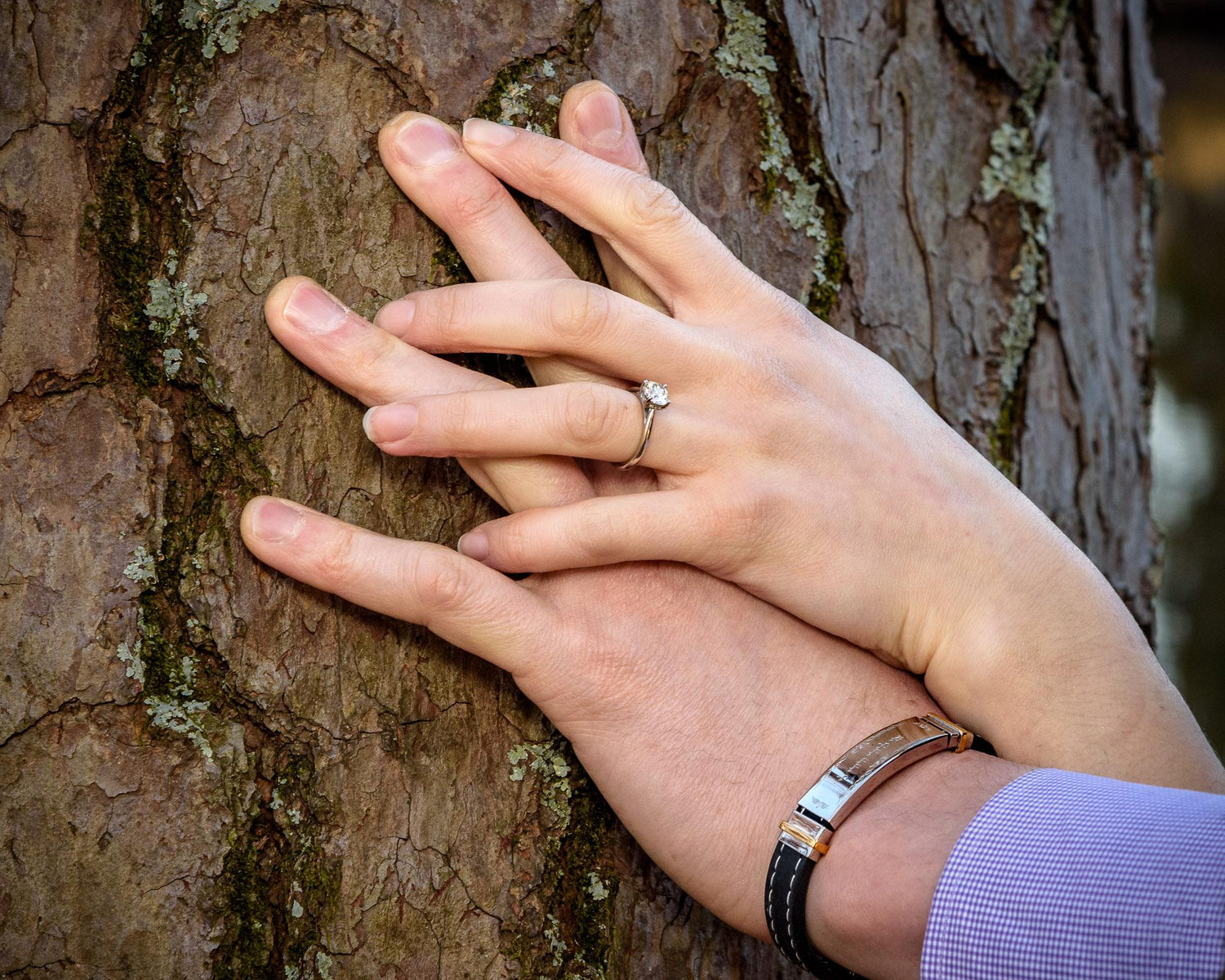 The Wedding Website of Leilah Rosen and Joshua Ehrlich