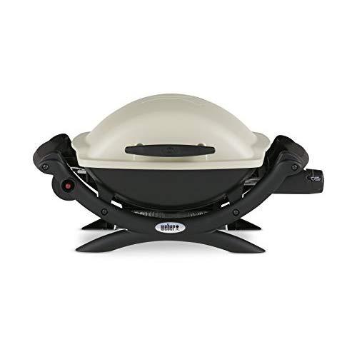 Weber 50060001 Q1000 Liquid Propane Grill,Chrome