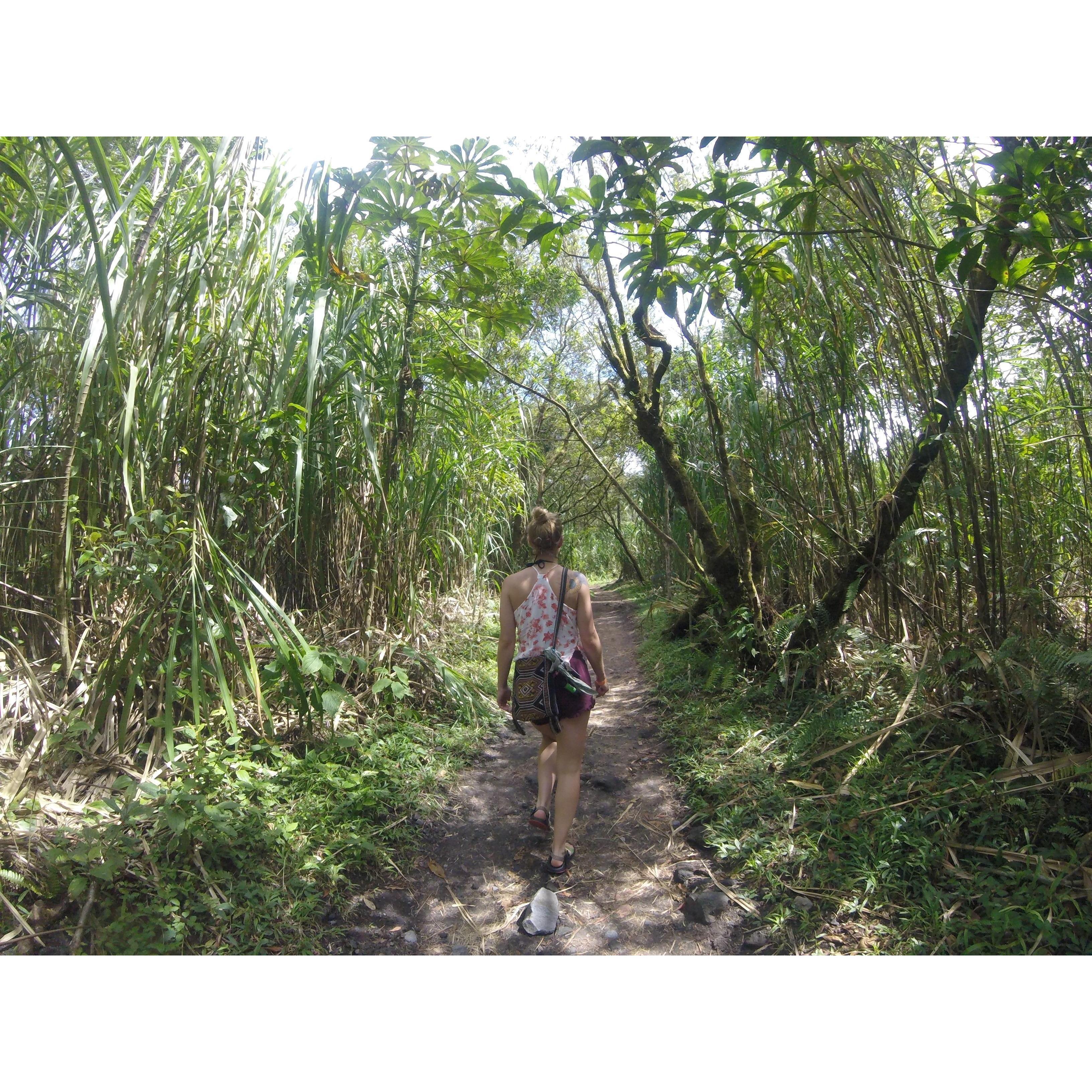 Exploring the jungle, Arenal Volcano, Costa Rica, 2018