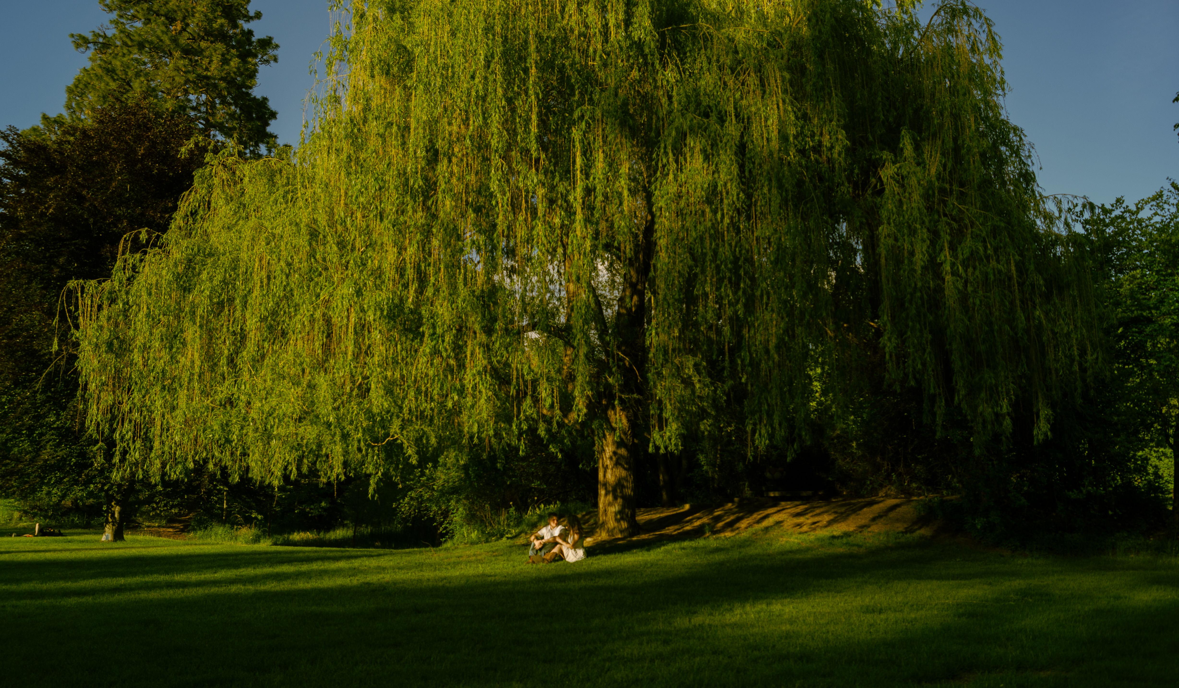 Footer image