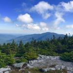 Go for a Hike, Walk or Run