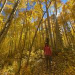 Rainbow Lake Trail