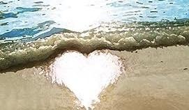 The Wedding Website of Sunny K and Scott K