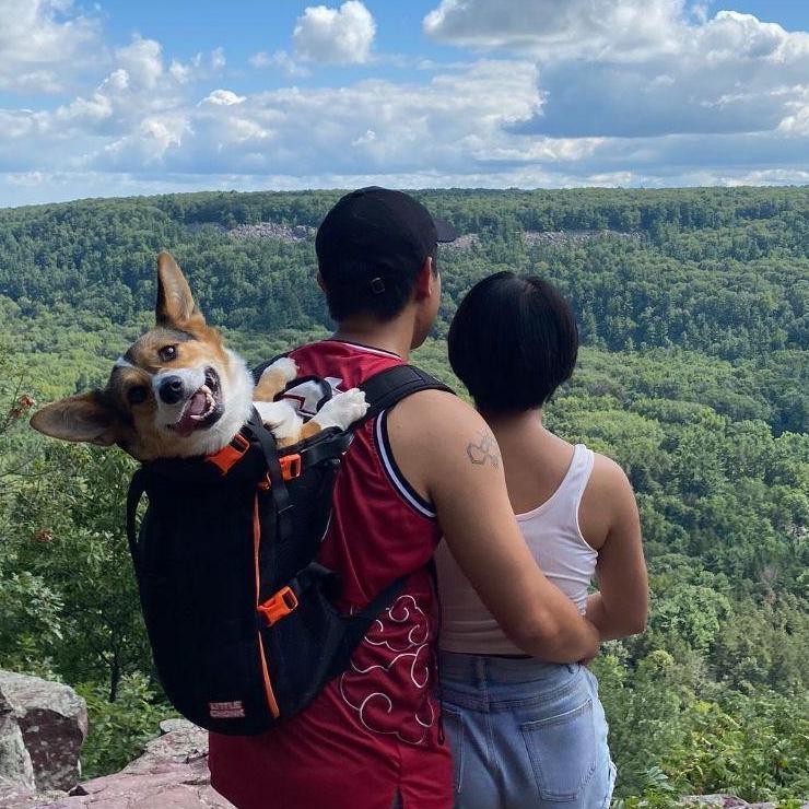 charlie enjoying the views